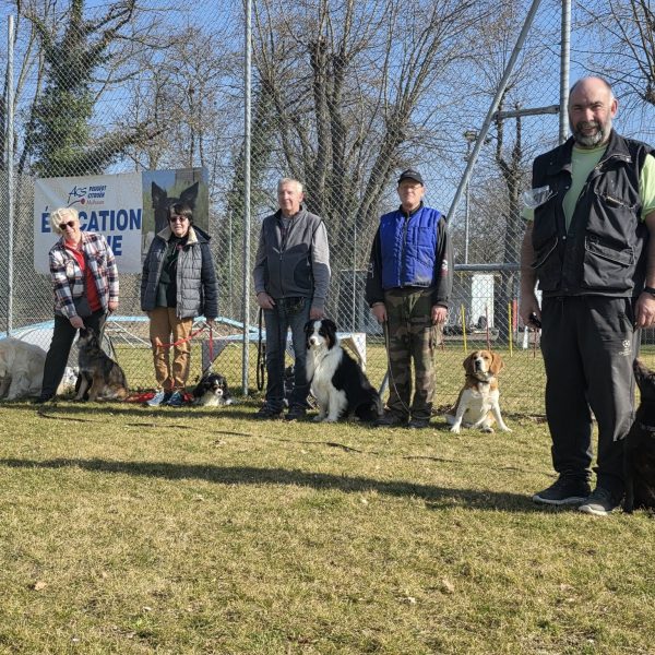 Section Canine 9 Mars 2025 5 Section Canine 9 Mars 2025 5