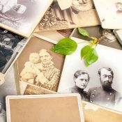 "Fresh, green twig on old photographs."
