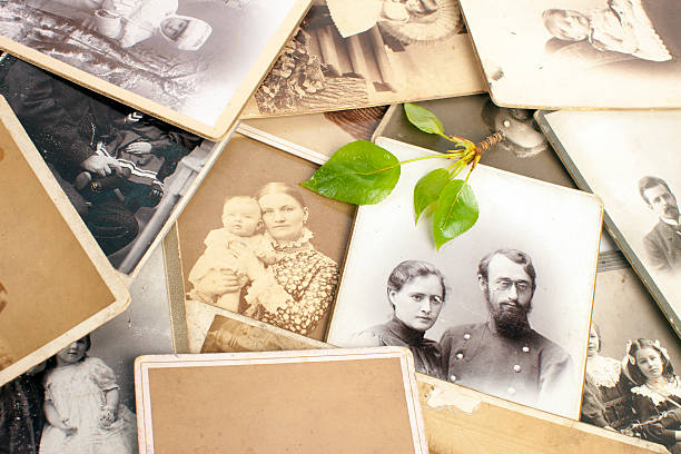 "Fresh, green twig on old photographs."